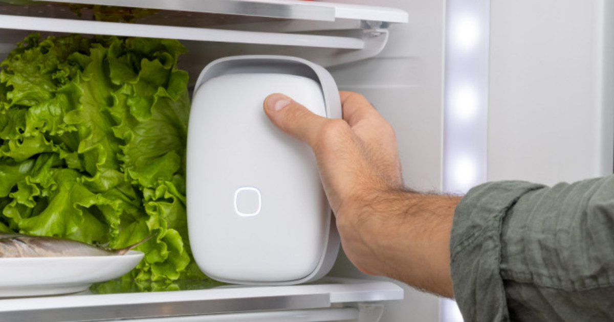 This smart device is designed to make your food last longer and help you  save money - Indiegogo