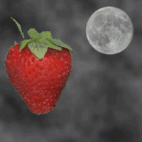 Strawberry Spring - by Stephen King | Indiegogo