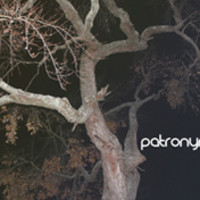 Patronym - Debut Record Funding | Indiegogo