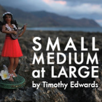 Small Medium at Large | Indiegogo