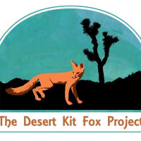 The Desert Kit Fox Project | Indiegogo