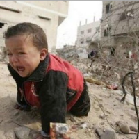 Gaza Rebirth | Indiegogo