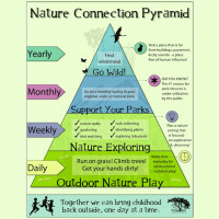 The Nature Connection Pyramid 