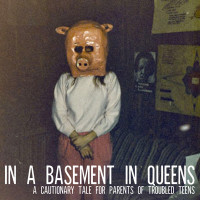 queens basement indiegogo