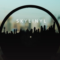 SKYLINYL - Vinyl Art Made From Recycled Records | Indiegogo