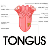 Tongus - A Short Film | Indiegogo