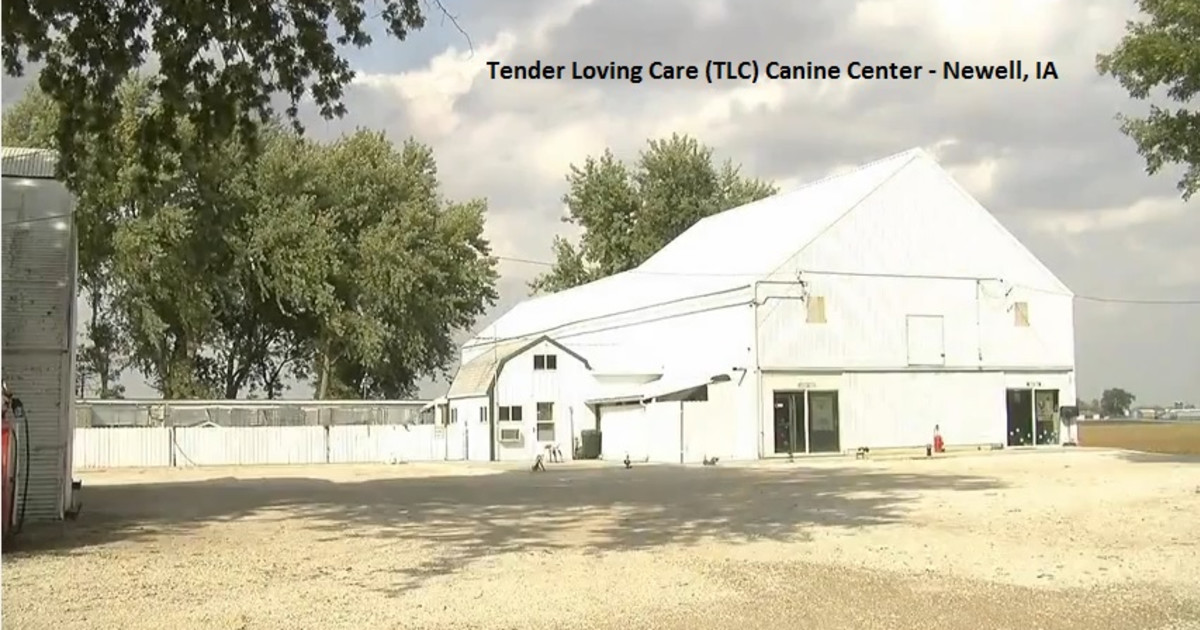 TLC Canine Center's New Facility Indiegogo