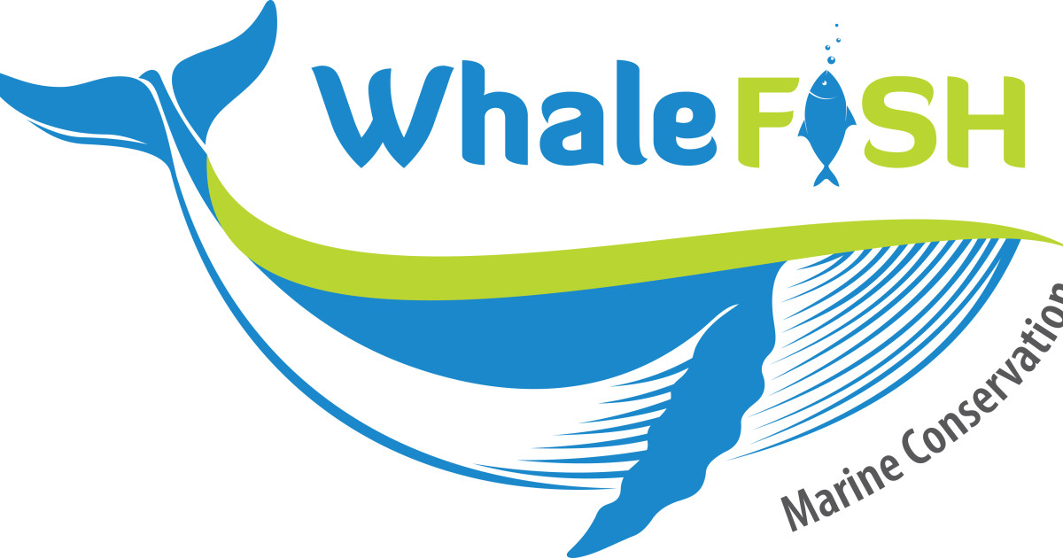 Bottlenose dolphins of Patagonia | Indiegogo Bottlenose dolphins of Patagonia