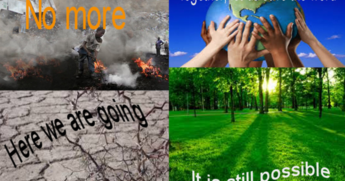 Help us to help the ecosystem and the environment. Indiegogo