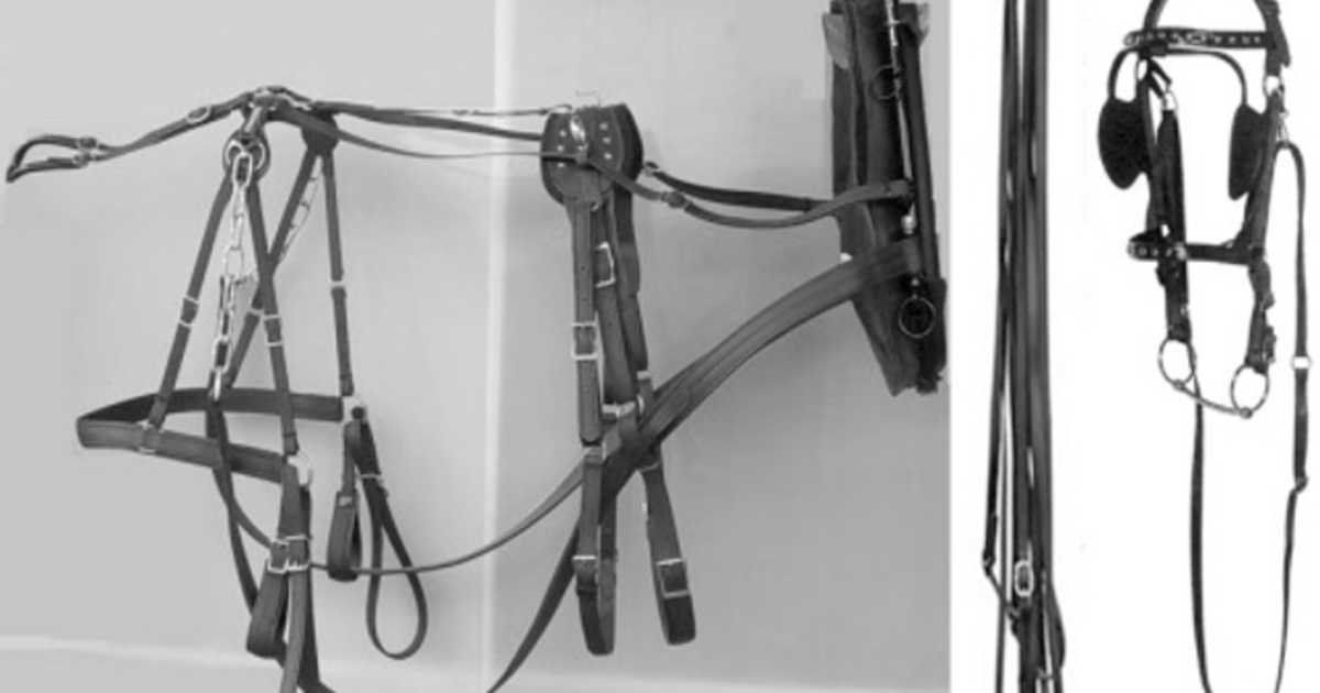VINEYARD DRAFT HORSE Tack & Kit Indiegogo