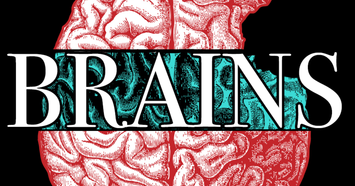 Brains, an original web series Indiegogo