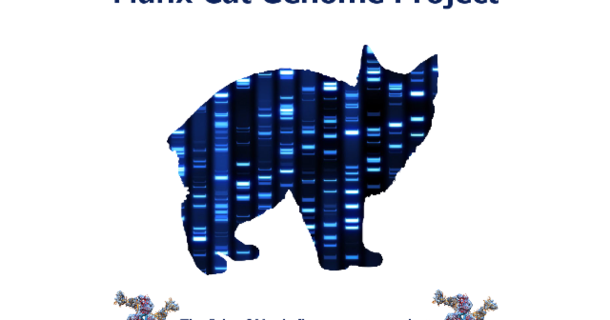 Manx Cat Genome Project Indiegogo