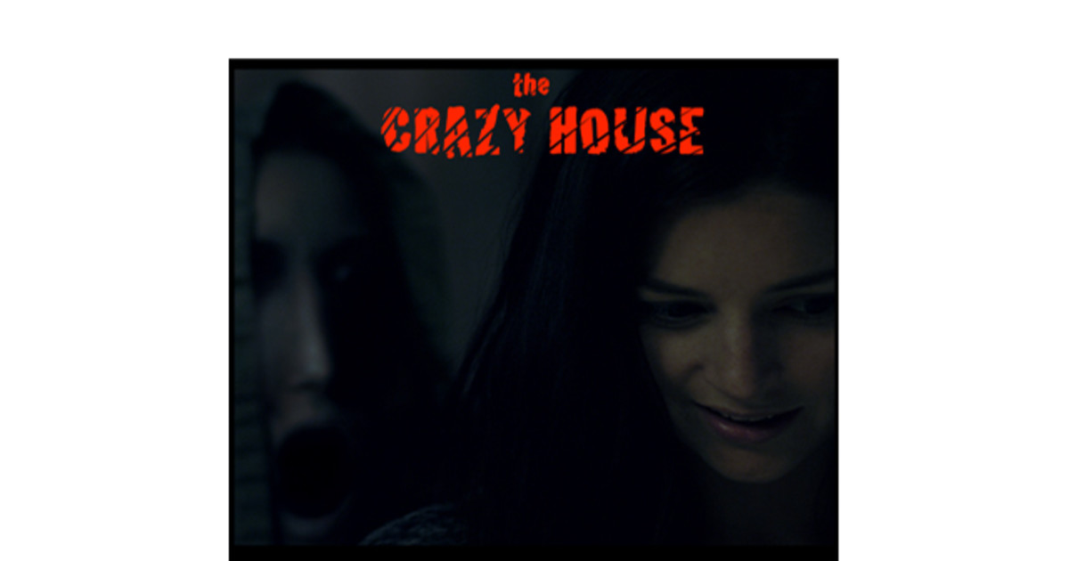 The Crazy House Indiegogo