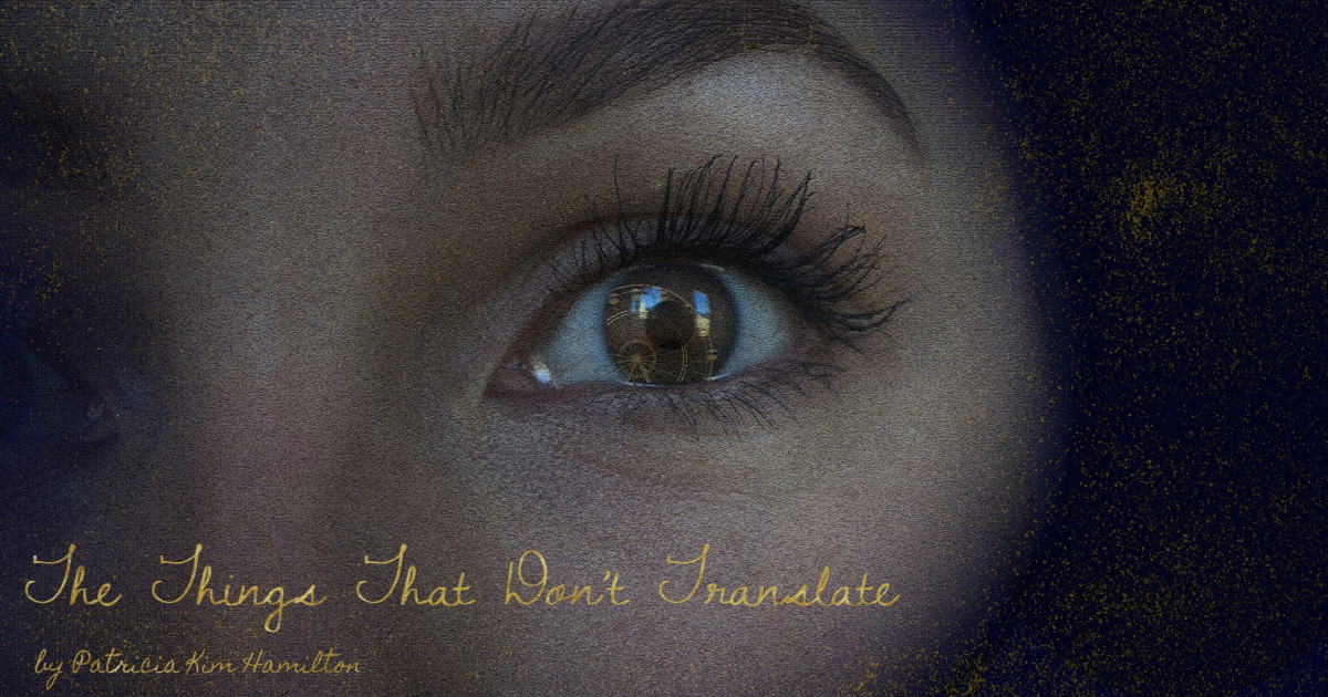 the-things-that-don-t-translate-indiegogo