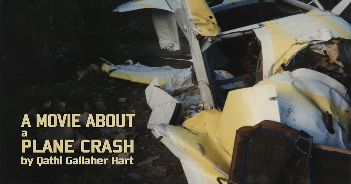 A Movie About A Plane Crash Indiegogo