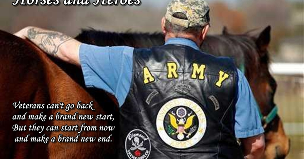 Horses and Heroes, a Reality TV Series Indiegogo