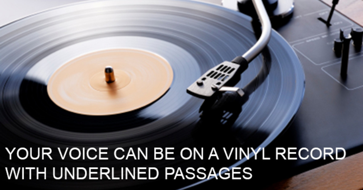 Will you help us create our 12 inch vinyl record? Indiegogo