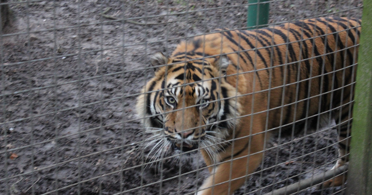 A Day In The Life of A Zoo Keeper | Indiegogo