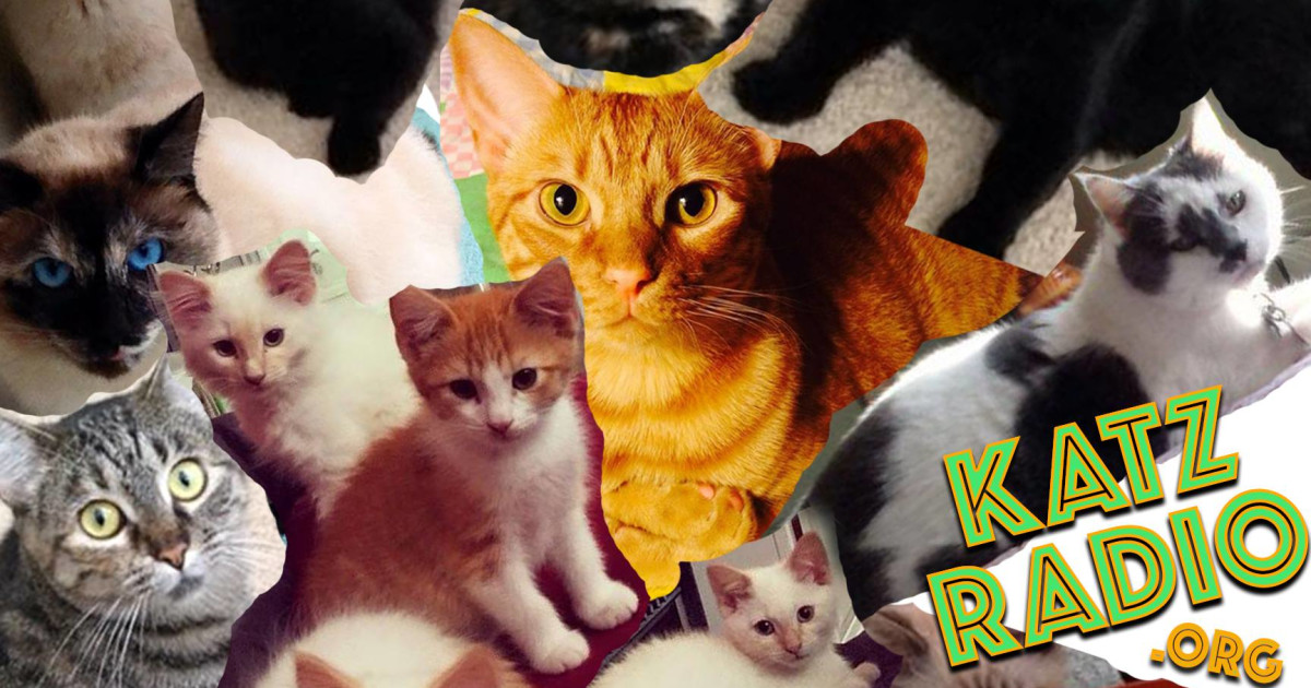 Keep KATZ Radio OnAir! Indiegogo
