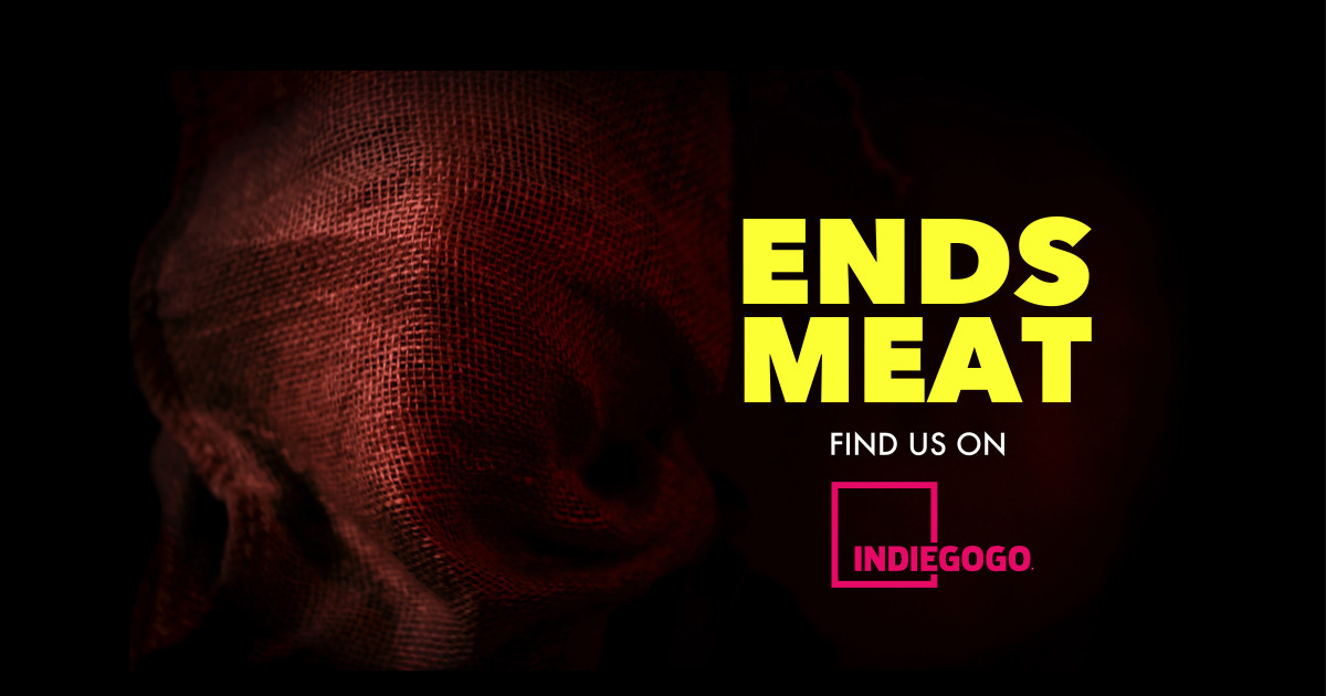 ENDS MEAT Indiegogo