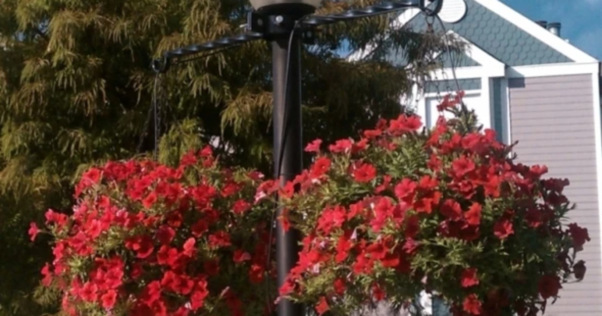 Sleepy Hollow & Tarrytown Flower Baskets Indiegogo