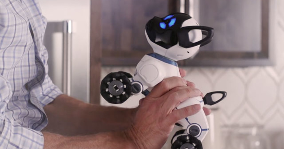 CHiP The World's First Lovable Robot Dog Indiegogo