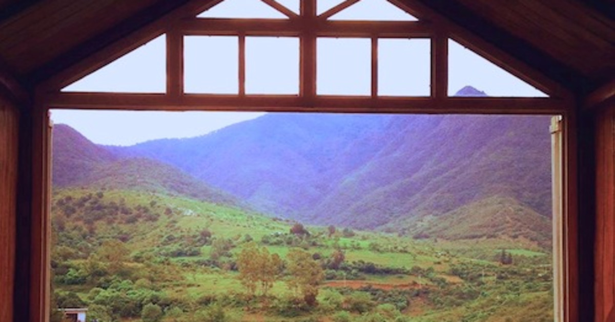 My First Artist Residency in Oaxaca,Mexico Indiegogo