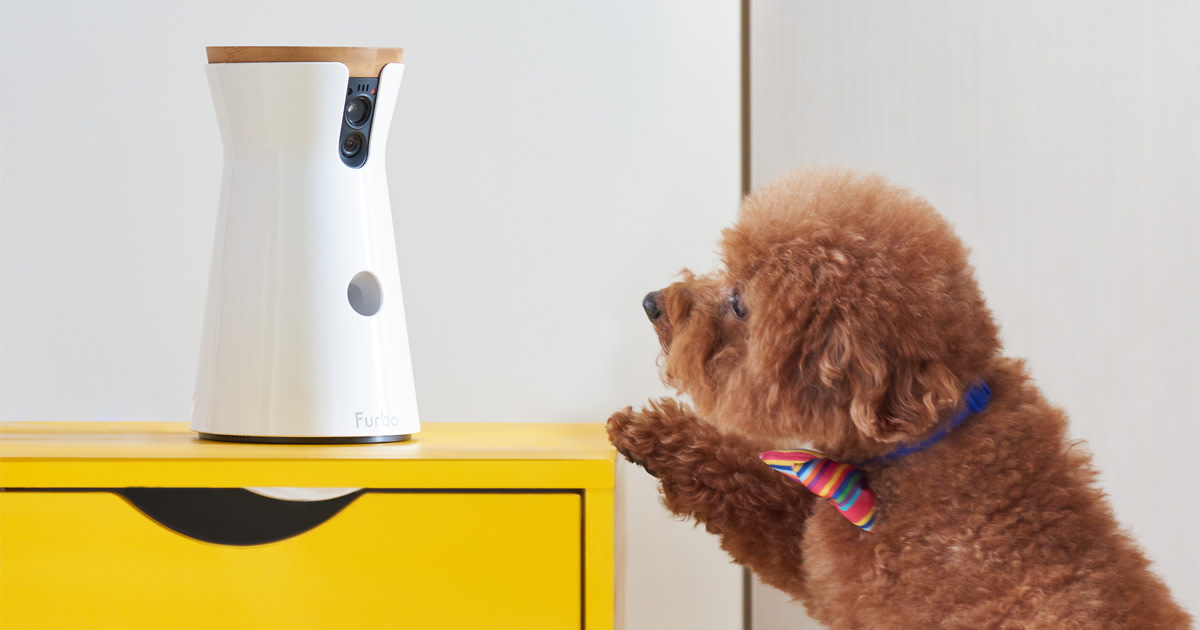 Furbo World's Best TreatTossing Dog Camera Indiegogo