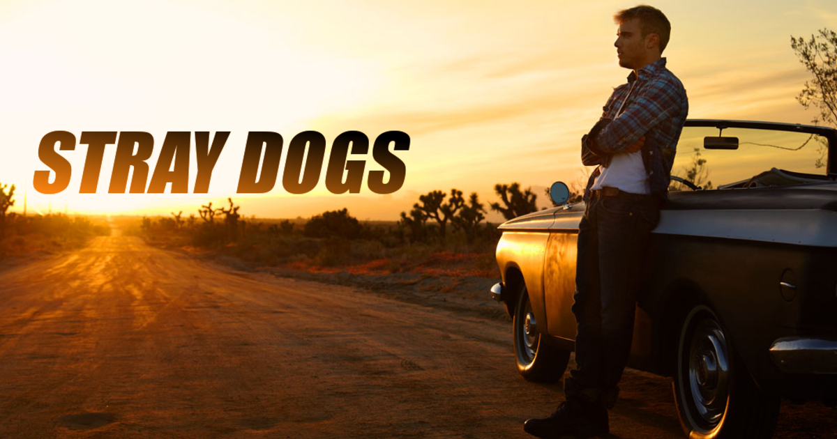 Stray Dogs Film Fund Indiegogo