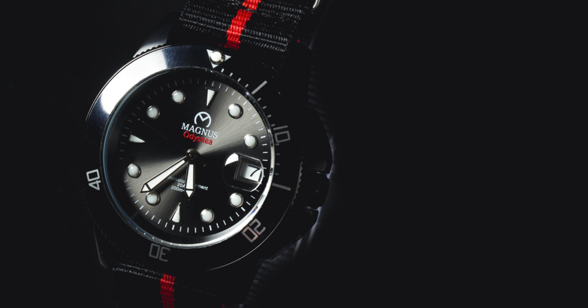 The Best Affordable Swiss Movement Dive Watch Indiegogo