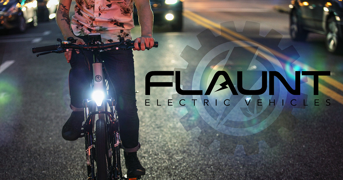 FLAUNT Electric Bicycle Indiegogo