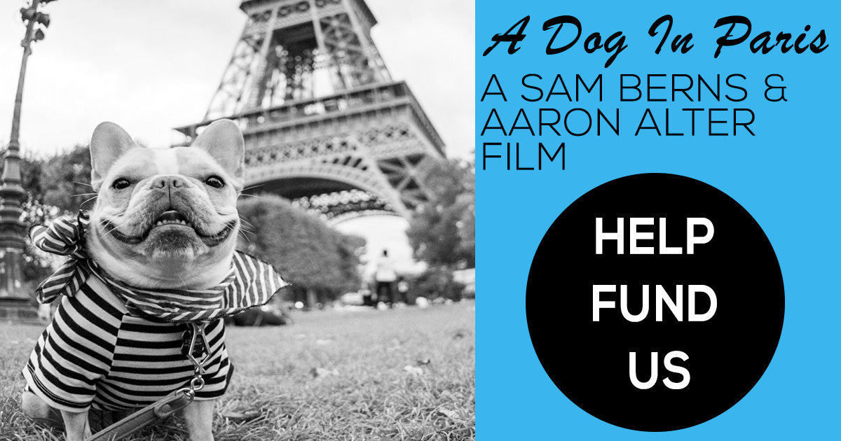 A Dog In Paris | Indiegogo