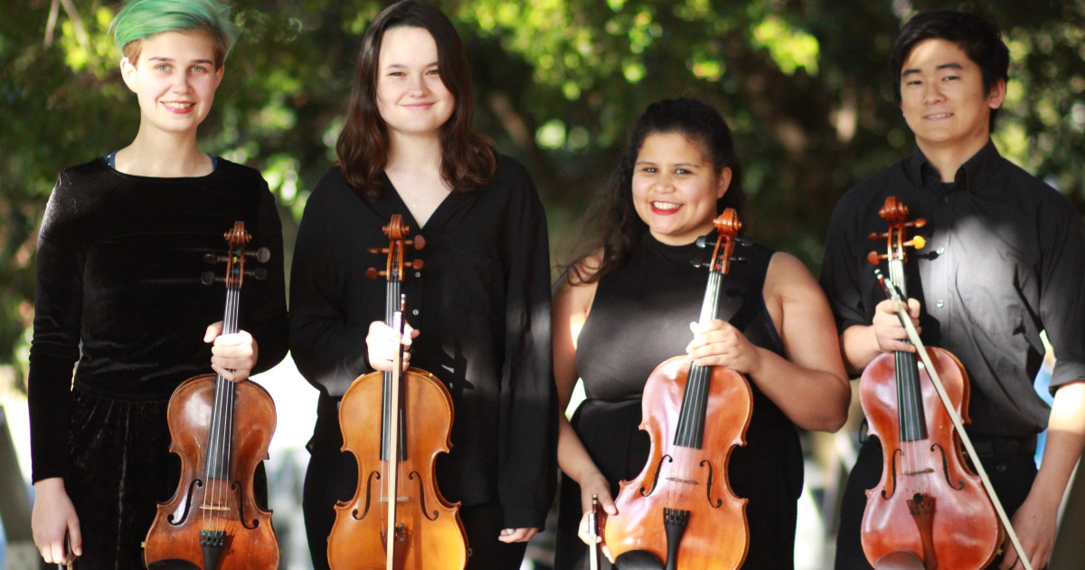 UCT Viola Quartet's Trip to Cremona Indiegogo