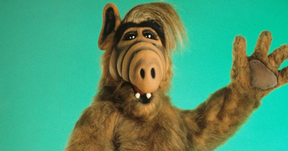 Todd needs an ALF costume | Indiegogo