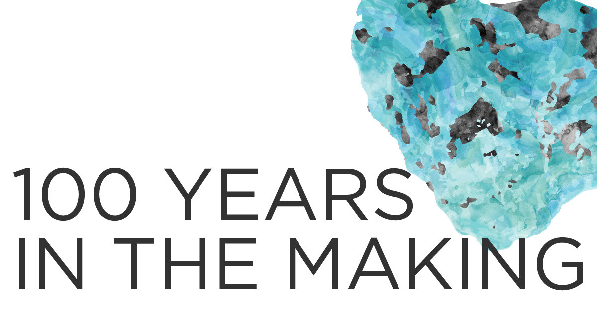 100 Years In The Making Indiegogo