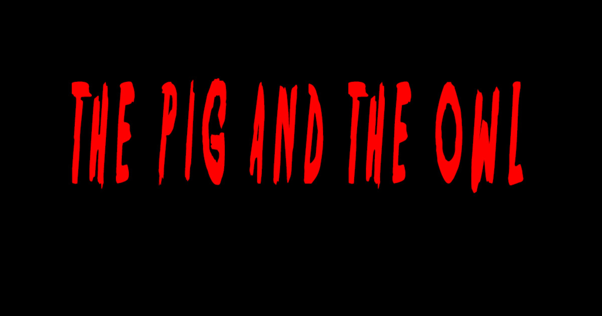 The Pig and the Owl | Indiegogo