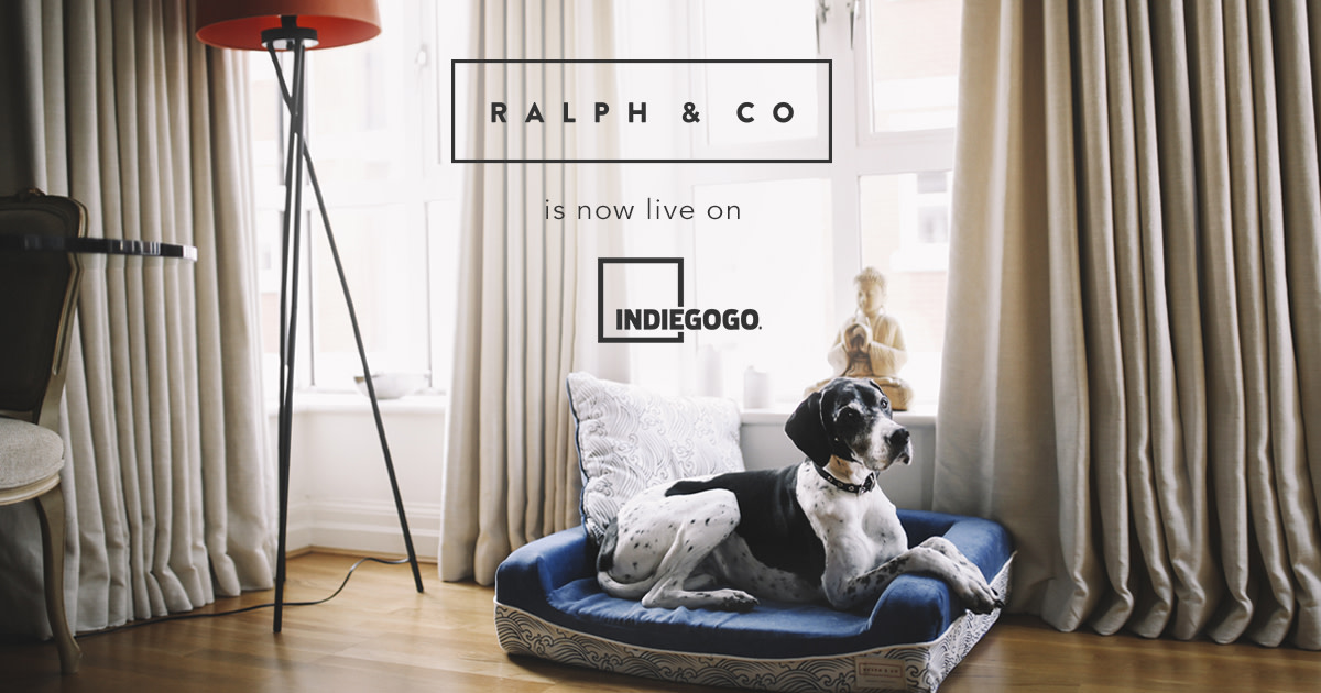The World's Best Dog Bed by Ralph & Co Indiegogo