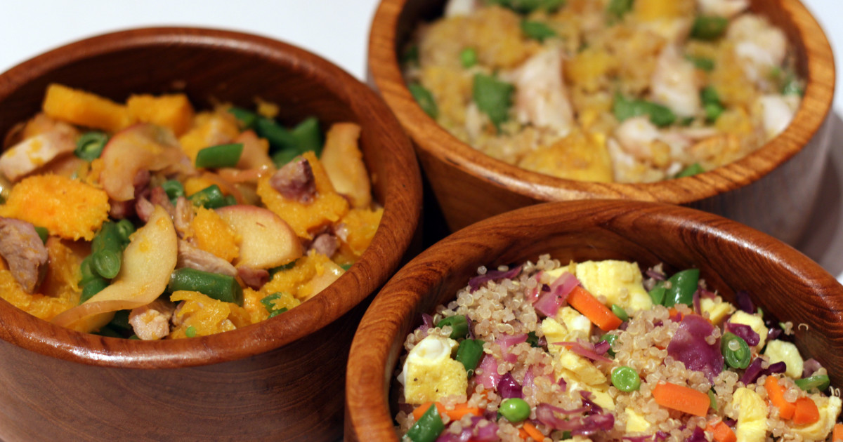 HumanGrade Dog Food Delivered to Your Door Indiegogo