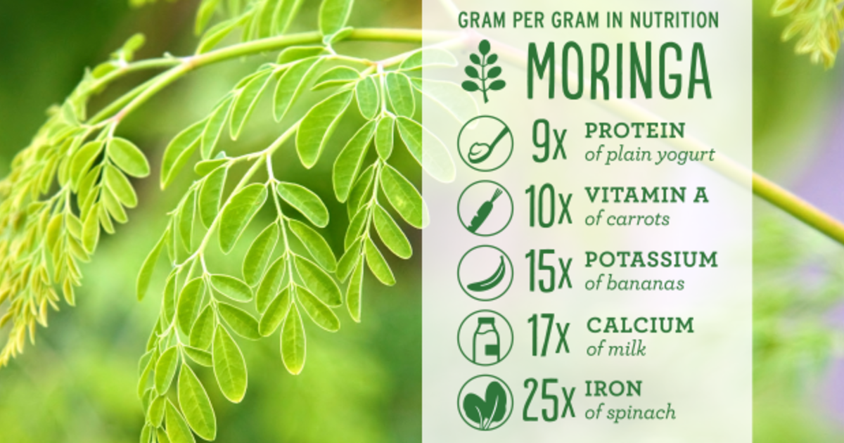 Afya tea a supplement to help manage diabetes Indiegogo