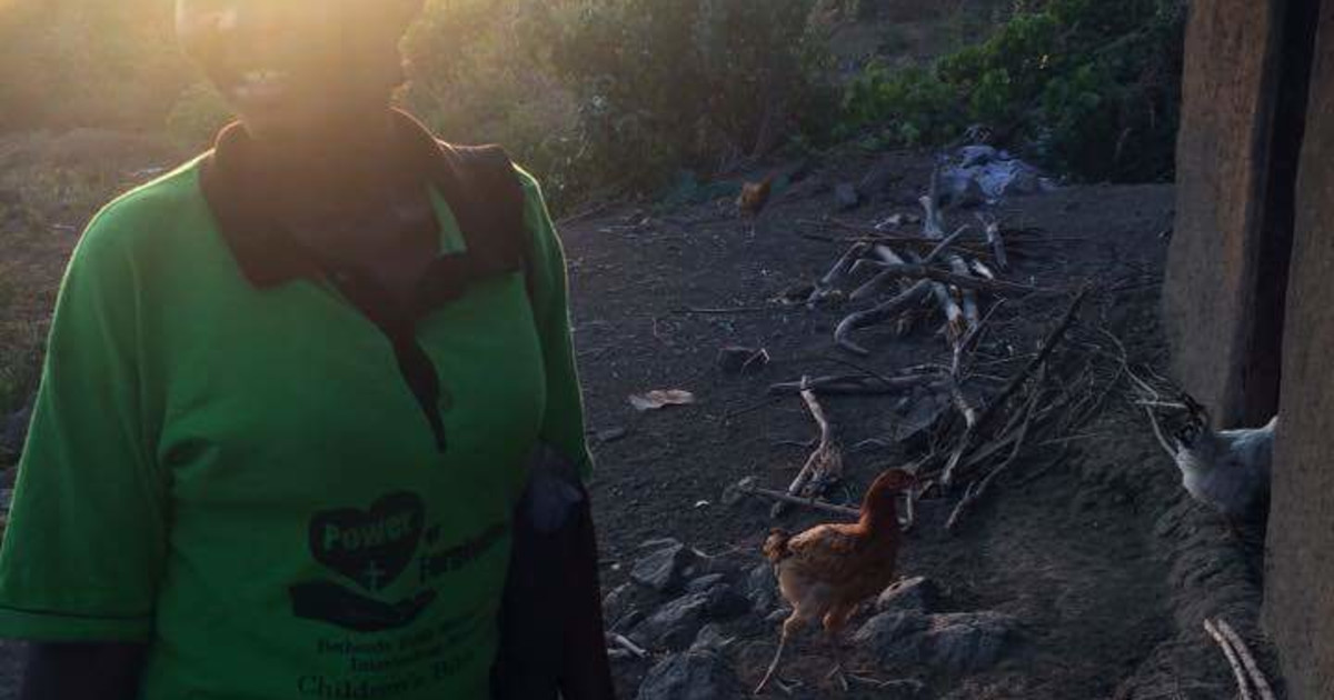 Build a small scale poultry farm in Mfangano Kenya Indiegogo