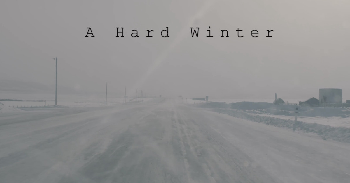A Hard Winter Indiegogo