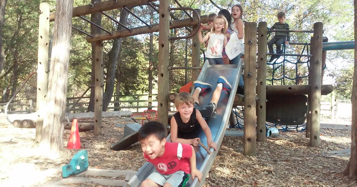 Nature Inspired Play Structure for School Indiegogo