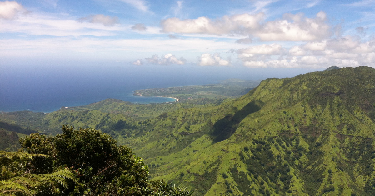 Help fund the Kokee Resource Conservation Program Indiegogo