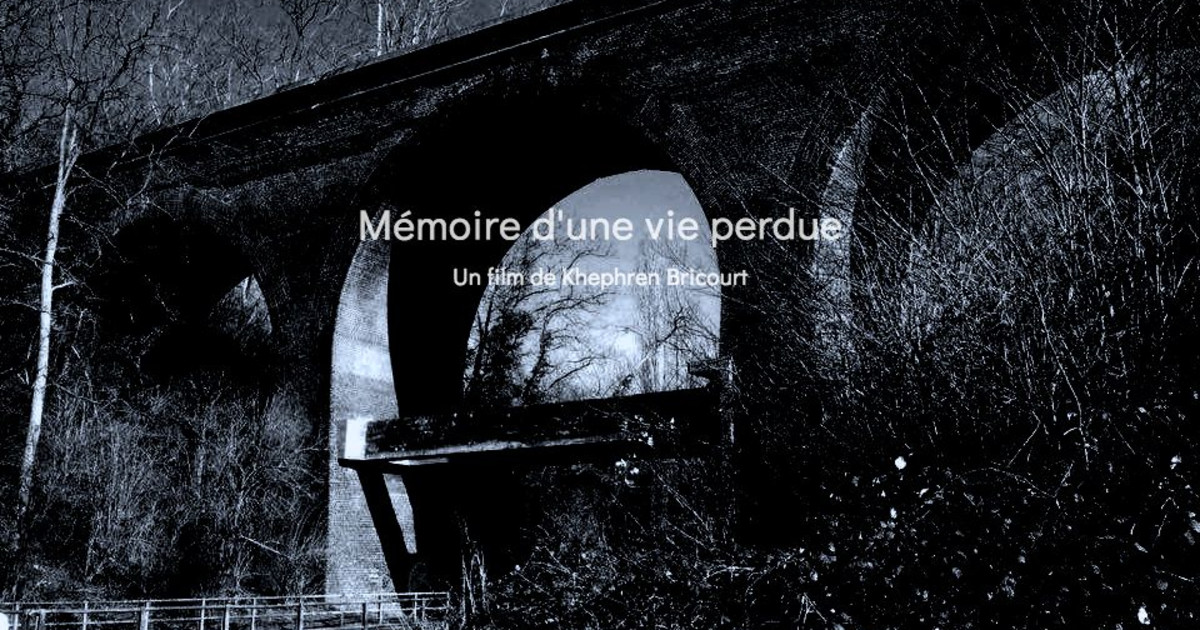 Mémoire d'une vie perdue Indiegogo