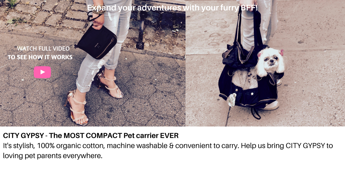 Pet Carrier | Indiegogo