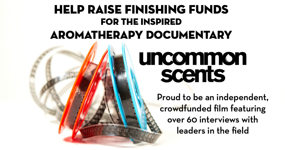 Scents FINISHING FUNDS Indiegogo