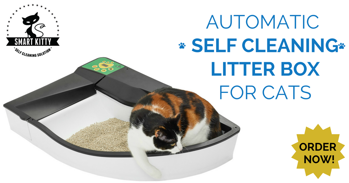 SmartKitty Automatic Litter Box for Cats Indiegogo