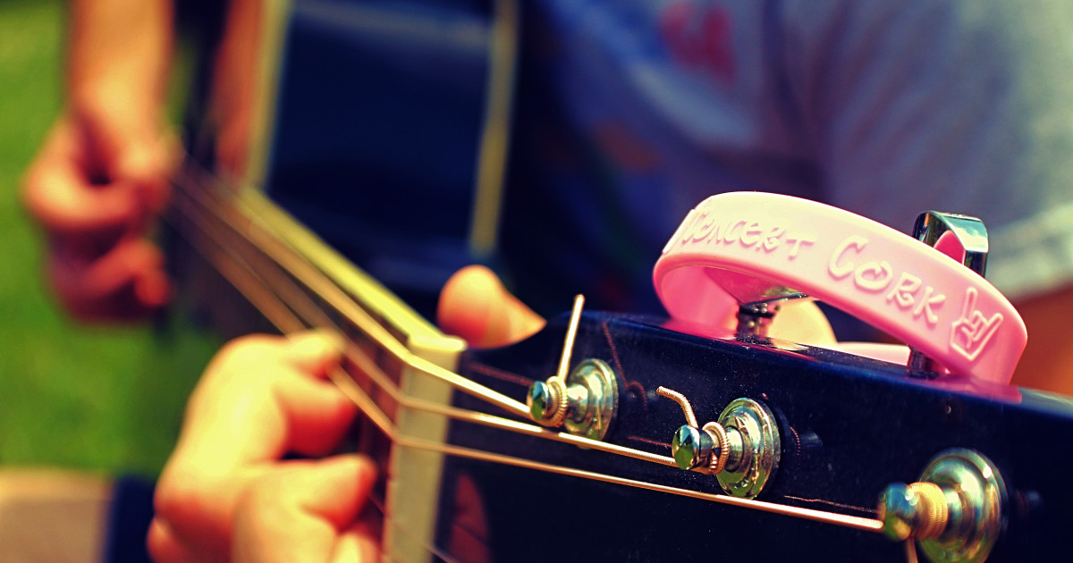 Concert Cork Indiegogo