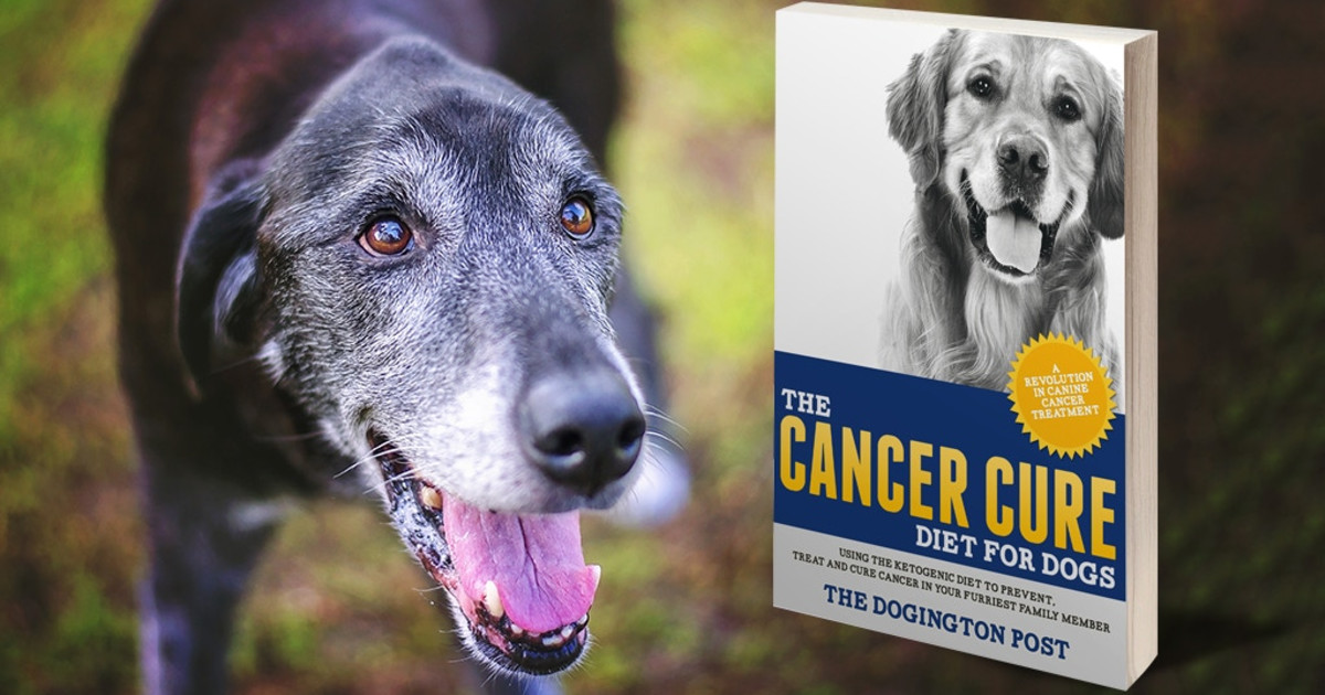 The Cancer Cure Diet for Dogs | Indiegogo