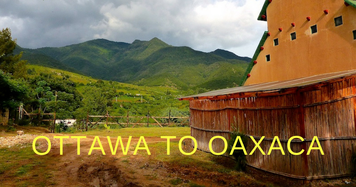 Ottawa to Oaxaca An Artist Residency Indiegogo
